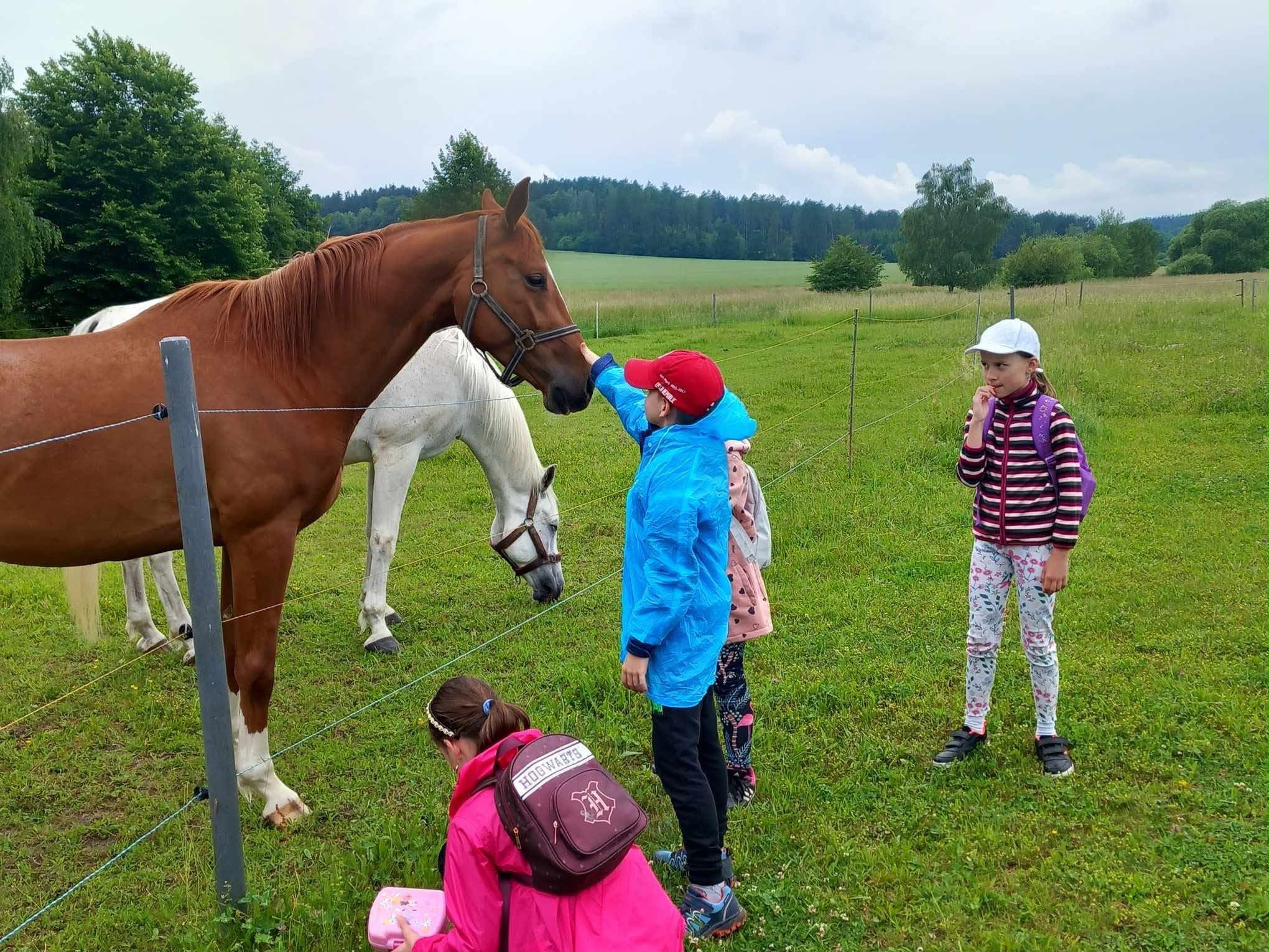 Děti se seznamují s koňmi na statku