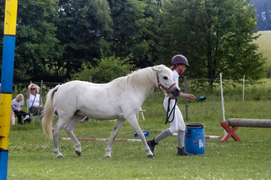 Klubové hobby závody pro členy JS Denisa Přední Poříčí 23.6.2024 – fotografie 11