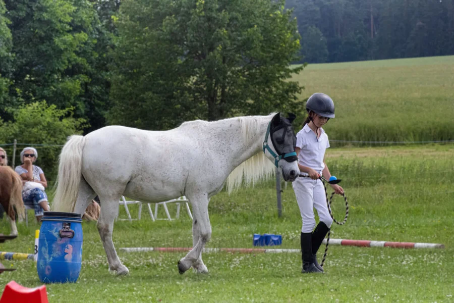 Klubové hobby závody pro členy JS Denisa Přední Poříčí 23.6.2024 – fotografie 7