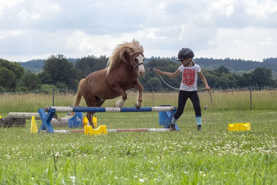 Klubové hobby závody pro členy JS Denisa Přední Poříčí 23.6.2024 – fotografie 8