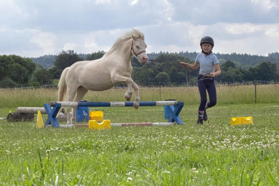 Klubové hobby závody pro členy JS Denisa Přední Poříčí 23.6.2024 – fotografie 14