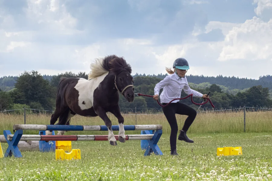 Klubové hobby závody pro členy JS Denisa Přední Poříčí 23.6.2024 – fotografie 15