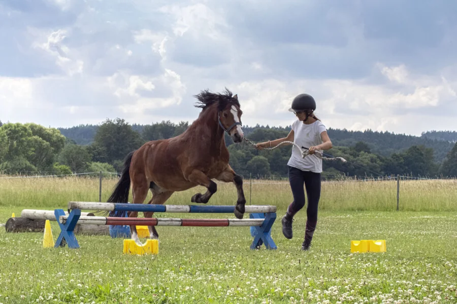 Klubové hobby závody pro členy JS Denisa Přední Poříčí 23.6.2024 – fotografie 17