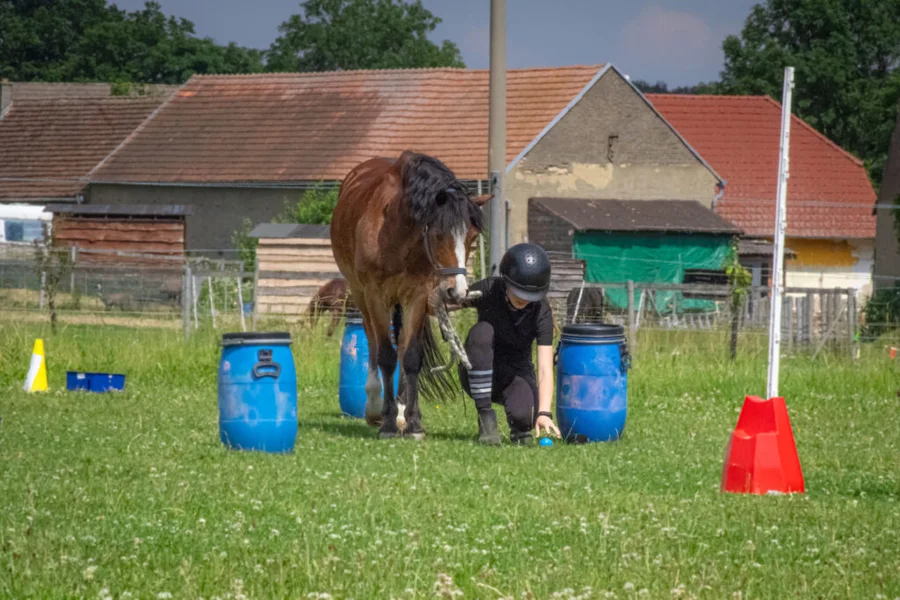 Klubové hobby závody pro členy JS Denisa Přední Poříčí 23.6.2024 – fotografie 18