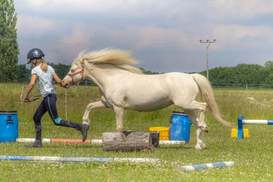 Klubové hobby závody pro členy JS Denisa Přední Poříčí 23.6.2024 – fotografie 19