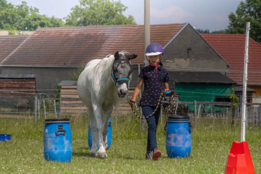 Klubové hobby závody pro členy JS Denisa Přední Poříčí 23.6.2024 – fotografie 20