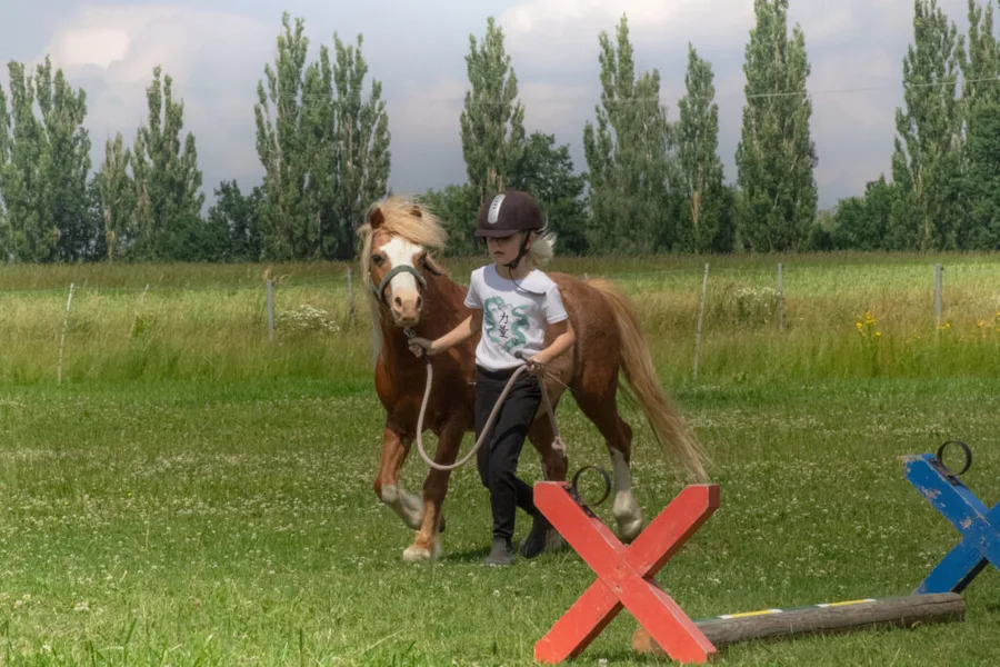 Klubové hobby závody pro členy JS Denisa Přední Poříčí 23.6.2024 – fotografie 21