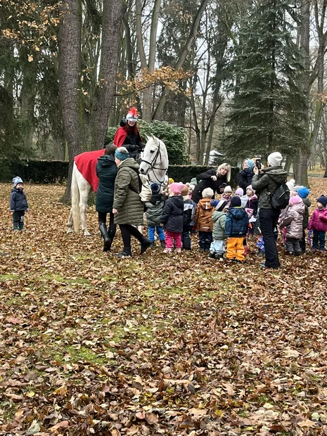 Martin na bílém koni v Březnickém parku · 11. 11. 2025 – fotografie 1